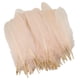 thumbnail image 5 of 50 piezas de plumas de ganso naturales de 5 a 8 pulgadas para manualidades y decoración de ropa. Rosa claro, 5 of 7