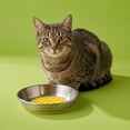 thumbnail image 2 of Vibrant Life Silicone and Stainless Steel Lick Mat Cat Saucer, 2 of 8