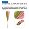 thumbnail image 4 of Uxcell 20Pcs Faux Pampas Grass 21.65" Fake Pampas Grass Decor Grass Green/Rose, 4 of 7