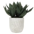 thumbnail image 1 of Vickerman FE181001 14 Po. Pot Succulent Vert en Béton Gris, 1 of 2