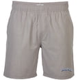 thumbnail image 2 of Men's Gray Lehigh Valley IronPigs Riptide Hybrid Shorts, 2 of 3
