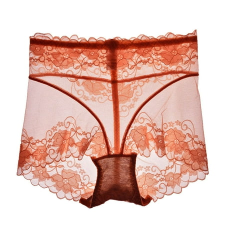 

Mesh Sheer Panties for Women Lace Bikini Underpants See Through Cheeky Underwear Hipster Brief High Waisted Panty