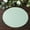 Sage Green, variant on Balsa Circle 50 Round 13 in Pink Disposable Paper Table Placemats Party Events Decorations Supplies
