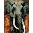 thumbnail image 2 of Arietti, Fabienne 25x32 Gold Ornate Wood Framed with Double Matting Museum Art Print Titled - Elephant, 2 of 4