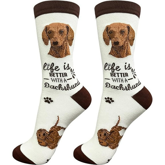 E&S Pets Pet Lover Socks, Life is Better with a Dachshund, One size fits most
