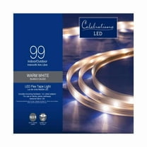 Celebrations 2T434913 LED Clear/Warm White 60 ct Rope Christmas Lights 16.6 ft.