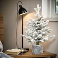 thumbnail image 2 of Tcbosik 2ft Prelit Flocked Tabletop Christmas Tree with Pot Base, Artificial Xmas Holiday Tree with 30 Warm White LED Lights, 3 Pine Cones and 189 Branch Tips for Small Space, White+Green, 2 of 7