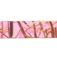 thumbnail image 3 of Country Brook Design® Pink Waterfowl Camo Lite Tape (1/2 Inch, 5 Yards), 3 of 5
