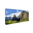 thumbnail image 3 of Trademark Fine Art "Iao Valley" Canvas Art by Pierre Leclerc, 3 of 4