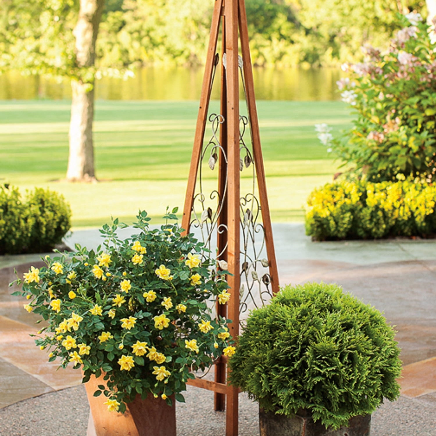 Proven Winners ColorChoice 5" Yellow Oso Easy Lemon Zest Rose Live Plant in 4.5" Pot (4 Count)