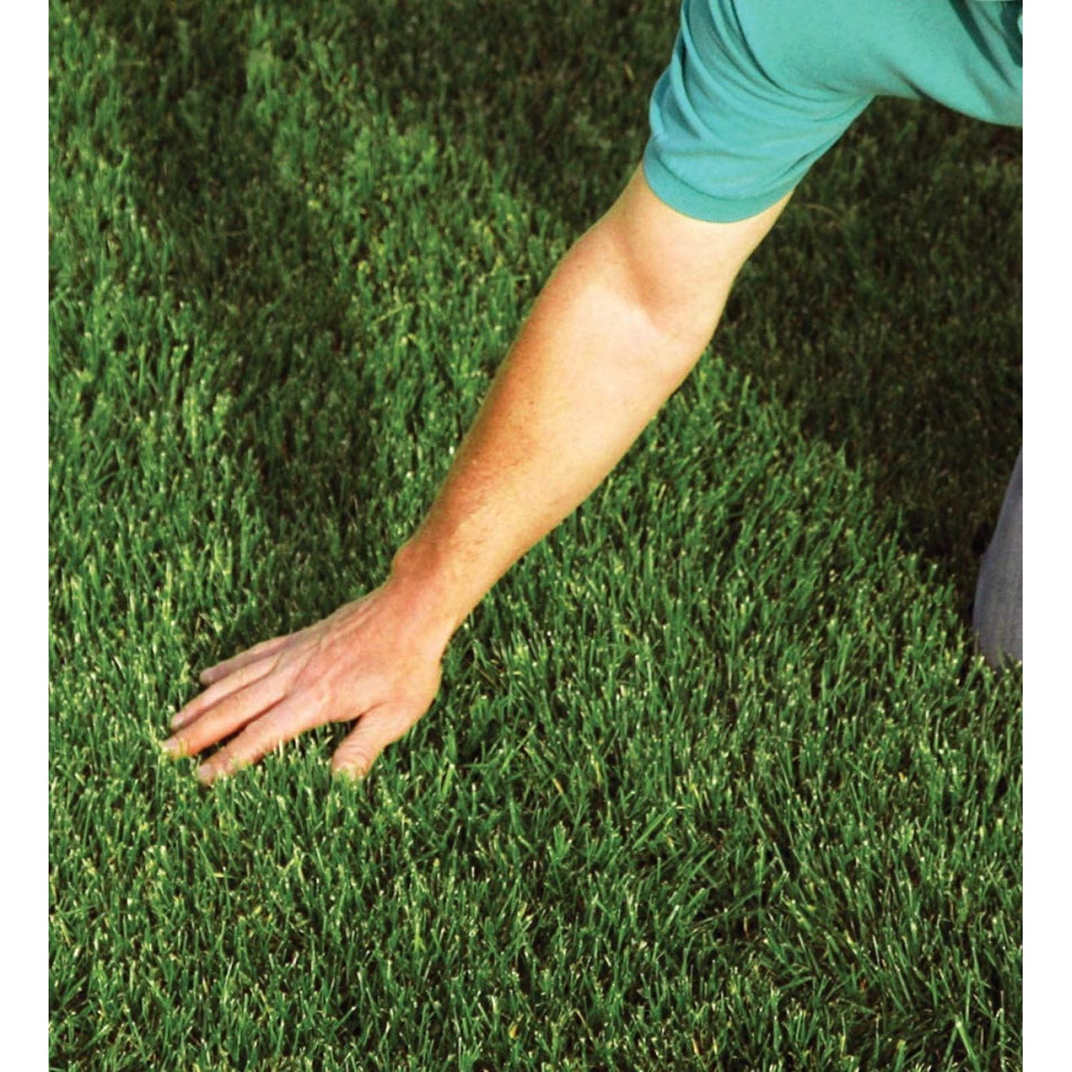 Straw Seeding Mulch with Tack - Biodegradable Organic Processed Straw – 2.5 CU FT Bale (Covers up to 500 sq. ft.) (3 Pack)