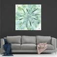 thumbnail image 7 of Epic Art 'Verdant Succulent IV' by Victoria Borges, Acrylic Glass Wall Art, 36"x36", 7 of 7