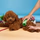 thumbnail image 5 of Sywqhk 2 uds cepillo para quitar el pelo de mascotas cepillo de limpieza Manual de pelo de gato de perro de plástico hueco Sywqhk Para estrenar, 5 of 9