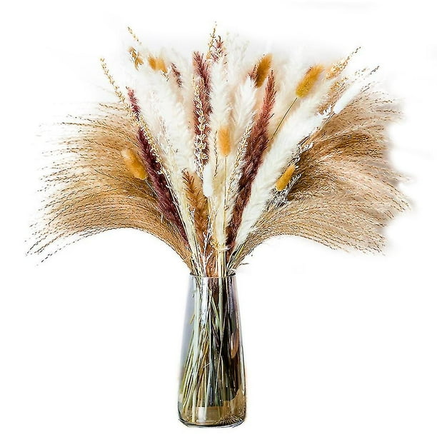 Pampas Grass 90 Uds. Flores secas naturales, compatibles con decoraciones para el hogar y la habitación, hierba de Pampas 100% Natural D