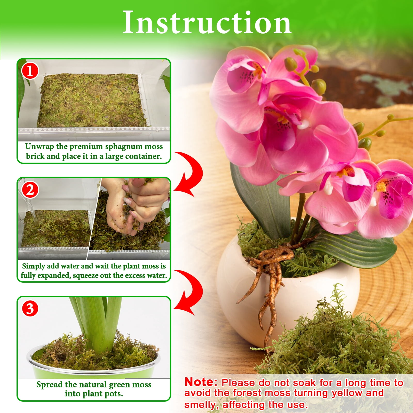 Halatool 4.4LB Green Forest Moss- 25QT Natural Sphagnum Moss for Plants Fluffy Orchid Moss for Orchids Repotting Dried Plant Moss for Potted Plants Indoor & Outdoor