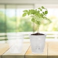 thumbnail image 4 of NICEXMAS 6-Pack Clear Indoor Nursery Pots with Self Watering for Easy Plant Care, 4 of 8