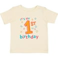thumbnail image 3 of Inktastic It's My First Birthday Boys or Girls Baby T-Shirt, 3 of 5