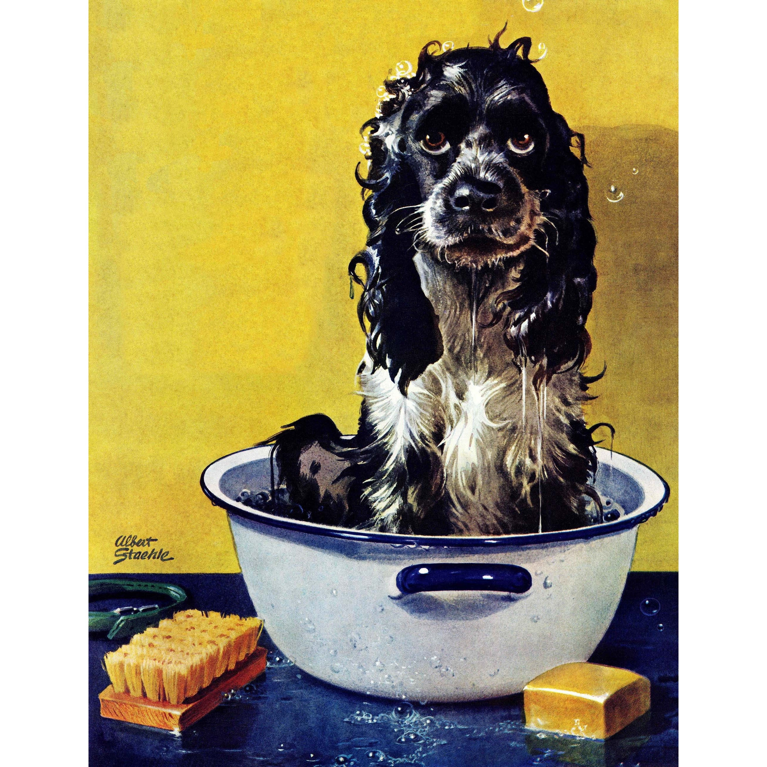 Marmont Hill "Butch Gets a Bath" by Albert Staehle Painting Print on Canvas