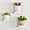 White, variant on Welland Contemporary 4" 3-Tier White Floating Shelf (3 Count)