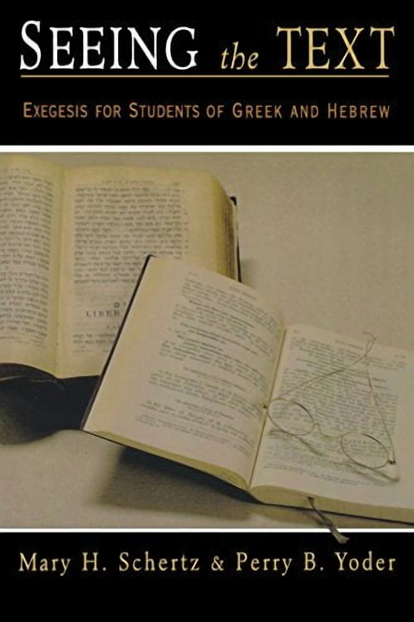 Seeing the Text, (Paperback)