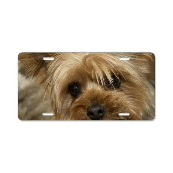 CafePress - Yorkie Puppy - Aluminum License Plate, Front License Plate, Vanity Tag