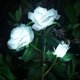 thumbnail image 1 of Solar LED Flower Lights for Outdoor Garden, Patio, Lawn, Balcony - Waterproof IP44 - White (1 Pack), 1 of 5
