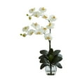 thumbnail image 2 of Nearly Natural Double Phalaenopsis Orchid w/Vase Arrangement, 2 of 8