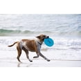 thumbnail image 2 of Waboba Woofpack Pet Dog Toys Set - Interactive Boredom Relief Toy Bundle with Rubber Flying Disk &amp; Dog Balls, Throw &amp; Fetch Toys for Puppies &amp; Dogs - Multipack of 3 Toys, 2 of 9