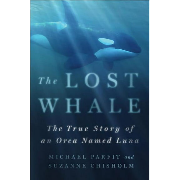 Lost Whale, (Hardcover)