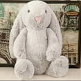 thumbnail image 4 of Jellycat, Jellycat Amuseables, Bunny Stuffed Animal, 11.02" Heart, Jellycat Soft & Cuddly, Huggable Rabbit Plush Toy Bunny Toys for Kids of All Ages, Great Gift for Christmas Valentine's Day, 4 of 6