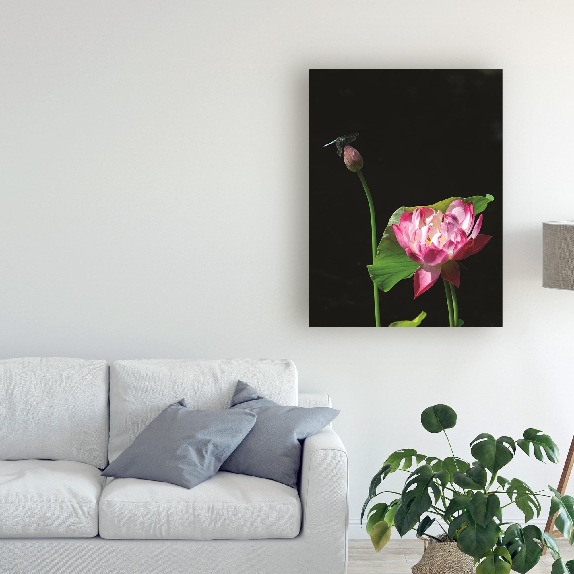 Trademark Fine Art 'Lotus Dragonfly' Canvas Art by Kurt Shaffer
