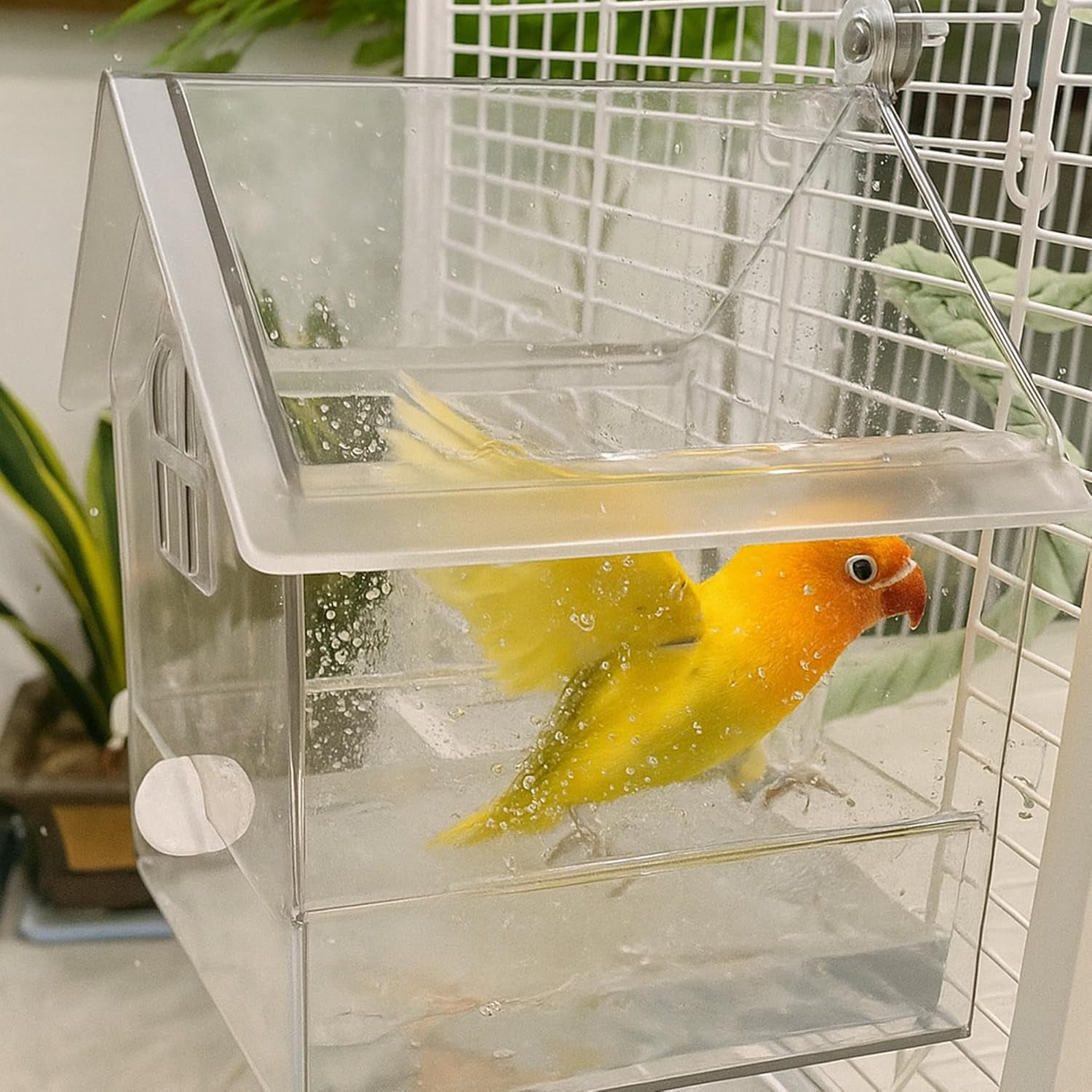 Pull-Out External Parrot Feeder - Transparent Bird Bath & Food Dispenser for Small Medium Birds, Easy to Clean Cage Accessory