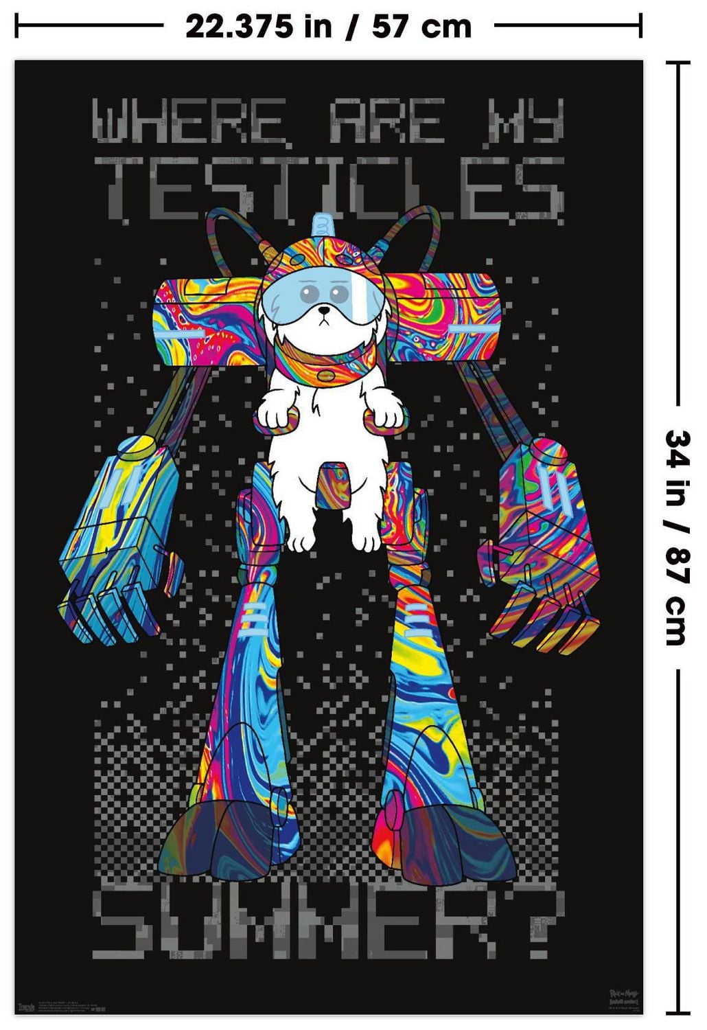 Rick And Morty - Testicles Wall Poster, 22.375" x 34"