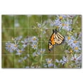 thumbnail image 1 of Picture-Tiles.com: Butterfly Ceramic Tile Wall Mural WAL500292-64S. 25.5"W x 17"H using (24) 4.25" x 4.25" Ceramic Tiles-Satin Finish, 1 of 3