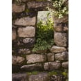 thumbnail image 2 of Kaveney, Wendy 14x18 Gold Ornate Wood Framed with Double Matting Museum Art Print Titled - Peru, Machu Picchu Plants take root in a window, 2 of 4