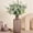 White, variant on Djiypn Greenery Artificial Eucalyptus Stems13.78 Inch, Ba|by Breath Artificial Flowers Bulk and Eucalyptus Leaves for Wedding Bouquets Home Office Floral Decor (Pink)
