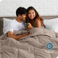 thumbnail image 3 of Down Alternative Comforter Set - 3-Pieces - All Seasons - Full, Taupe, 3 of 8