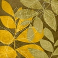 thumbnail image 2 of Emery, Kristin 26x26 Black Ornate Wood Framed with Double Matting Museum Art Print Titled - Yellow and Brown Leaves II, 2 of 4