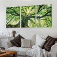 thumbnail image 2 of Shangniulu Forest Canvas Art, Green Wall Art Modern Rustic Natural plant Picture Print for Wall Decor, Landscape Artwork Home Living Room Framed Decoration Ready to Hang, 2 of 4