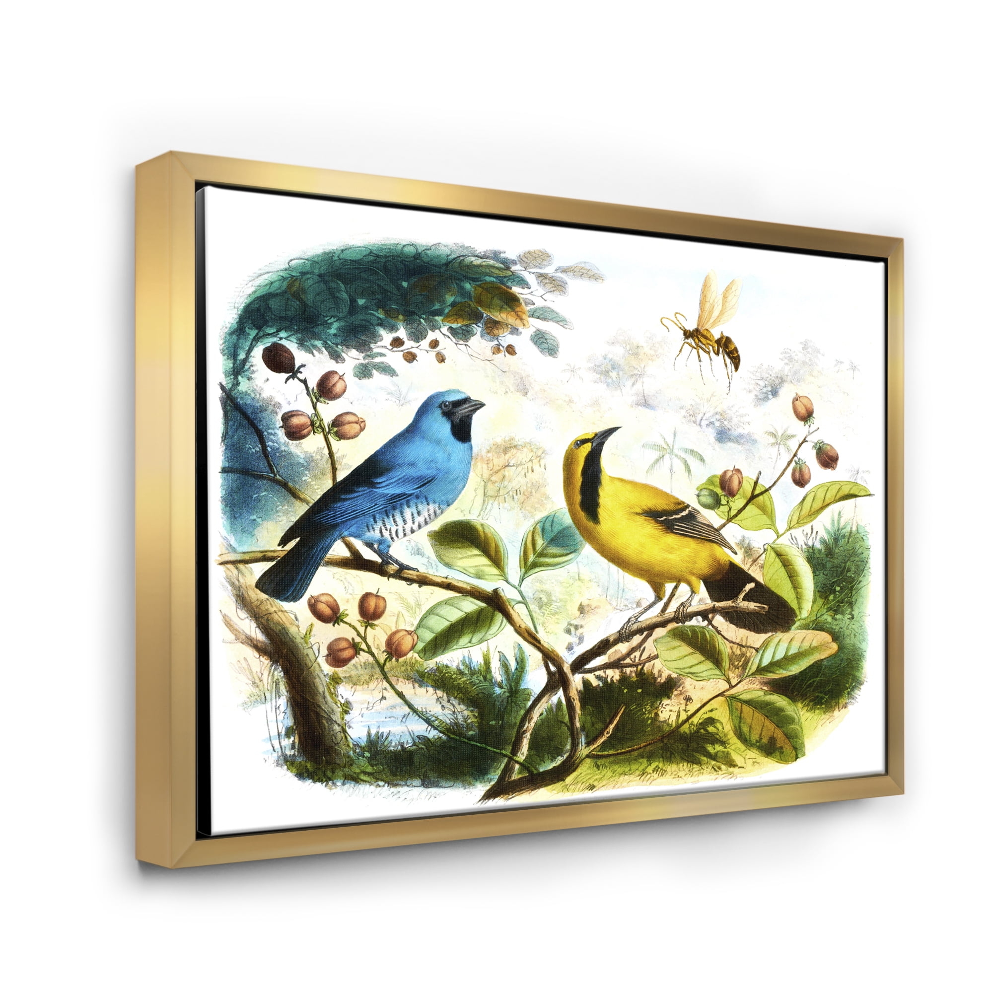 Designart 'Yellow and Blue Bird In The Wild' Traditional Framed Canvas Wall Art Print