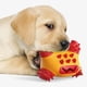 thumbnail image 3 of Perro chew toys durable pulido juguete dentición limpieza juguete, juguetes de masticación de para perrito pequeño perro medi - rojo, 3 of 8