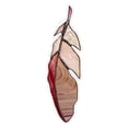 thumbnail image 1 of Ventana Atrapasol De Acrílico Multicolor Para Pájaros, Adornos De Pájaros, Colgante Para Decoración Del Hogar, Regalos Para Amantes De Los Pájaros Advancent HA044084-08, 1 of 6