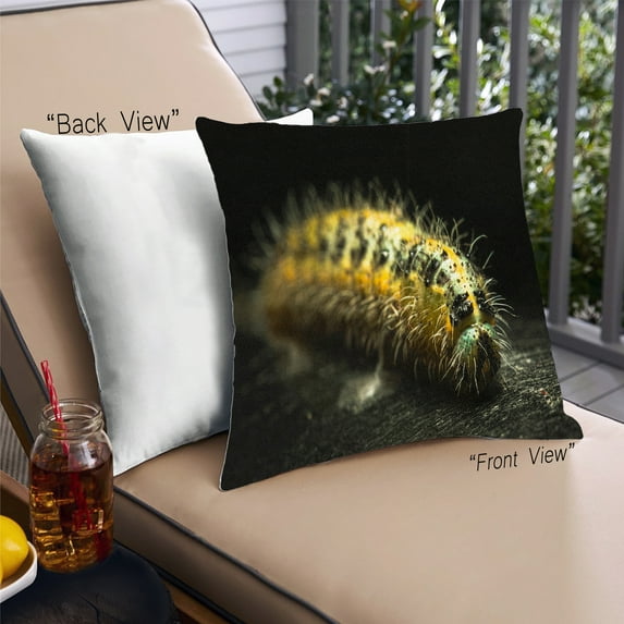 Ahgly Company Insects worm Outdoor Throw Pillow, 18 inch by 18 inch