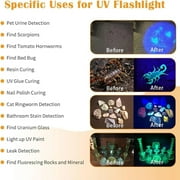 30W 365nm UV Flashlight USB Rechargeable UV Light High Power Black Light Flashlight for Pet Urine Detection, Resin Curing, Minerals, Blood Tracking, Scorpion, Rockhounding,Yooperlites,A/C Leak Detect