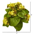 thumbnail image 2 of Nearly Natural 8in. Kalanchoe Artificial Bush Flower (Set of 6), Yellow, 2 of 2