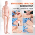 thumbnail image 3 of VEVOR Nursing Training Manikin, Male/Female Life Size Demonstration Human Manikin for Nursing Training, Multifunctional Education Teaching Model, PVC Anatomical Mannequin Body Care Simulator Model, 3 of 9