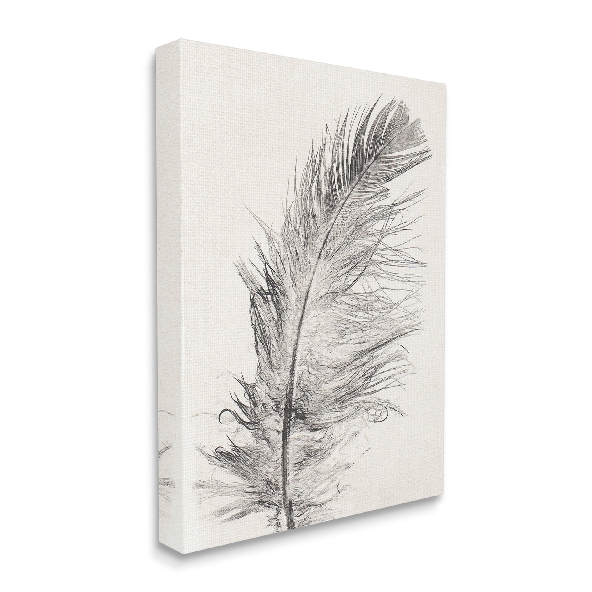 Stupell Industries Boho Windswept Feather Animals & Insects Painting Gallery Wrapped Canvas Art Print Wall Art, 16 x 20
