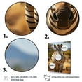 thumbnail image 3 of Designart "Walking In Zebra Africa II" Animals Floater Framed Wall Art Print, 3 of 7