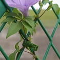 thumbnail image 3 of Clips de soporte para plantas,Clips para plantas trepadoras Clips de vid de jardín de tomate para soportar tallos de plantas vegetales,Enredaderas,Clips de tomate para plantas trepadoras, 3 of 8