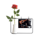 thumbnail image 1 of Decoracion de vidrio Bootle cubo de hielo Botella de decoración de jarrones colgantes de flores rosas artificiales, 1 of 3